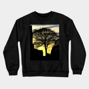 Urban Tree Crewneck Sweatshirt